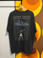 Talla XL camiseta gira Cher 2002 proof of Life